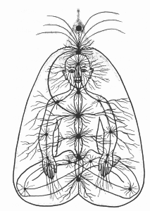 Hatha-yoga-et-méthode